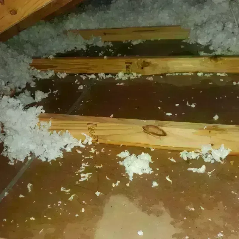 Attic Water Damage in Olga, FL